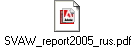 SVAW_report2005_rus.pdf