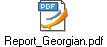 Report_Georgian.pdf